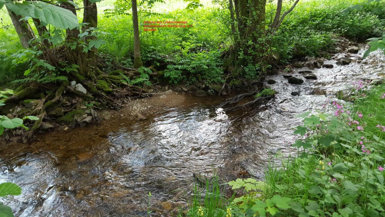 Ferienwohnung Im Schwarzwald Todtmoos Zewnętrze zdjęcie