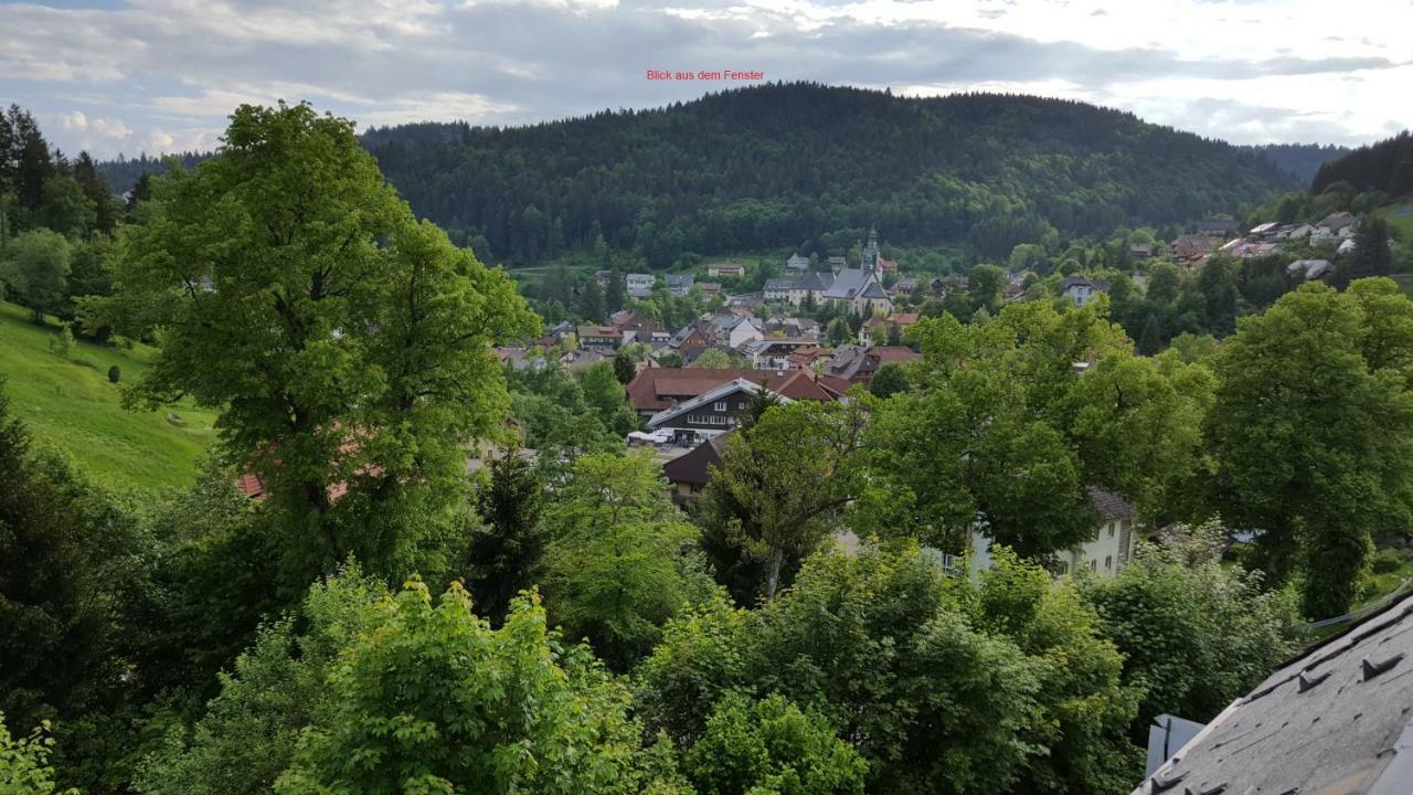 Ferienwohnung Im Schwarzwald Todtmoos Zewnętrze zdjęcie