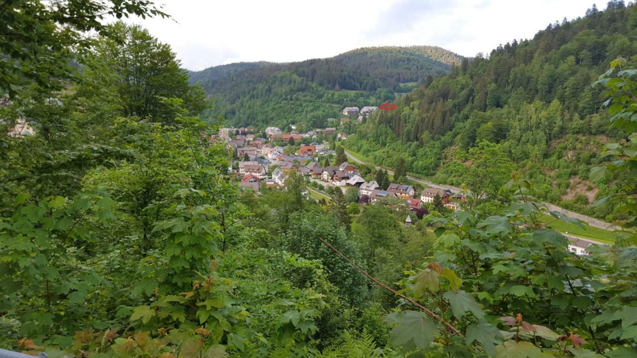Ferienwohnung Im Schwarzwald Todtmoos Zewnętrze zdjęcie