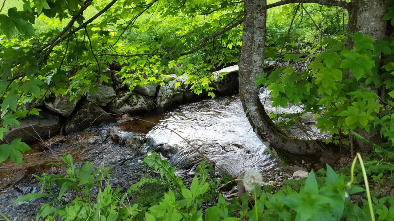 Ferienwohnung Im Schwarzwald Todtmoos Zewnętrze zdjęcie